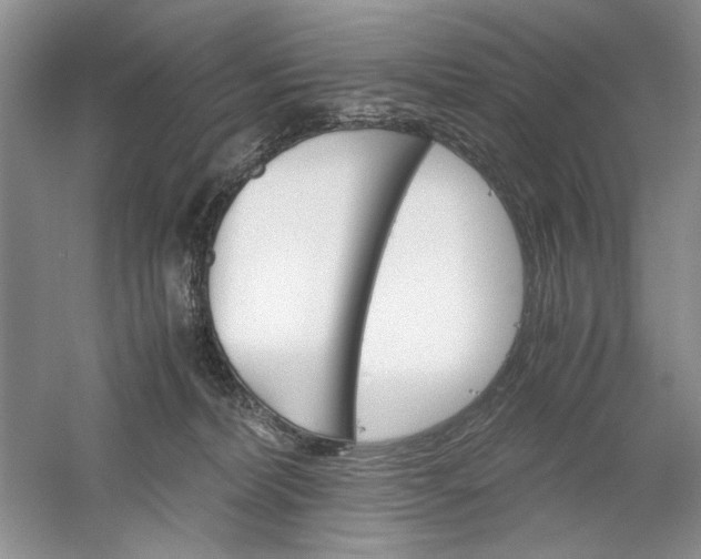 X0000061140228200512022256