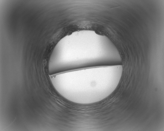 X0000061140229200512022256