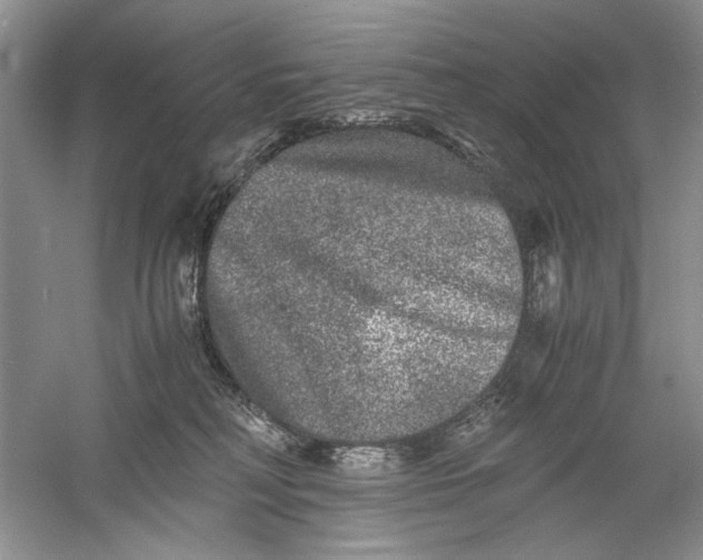 X0000061140230200512022256