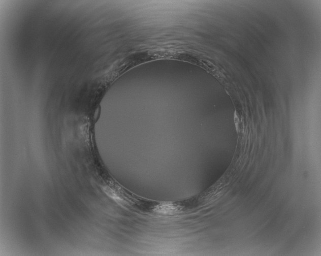 X0000061140231200512022256