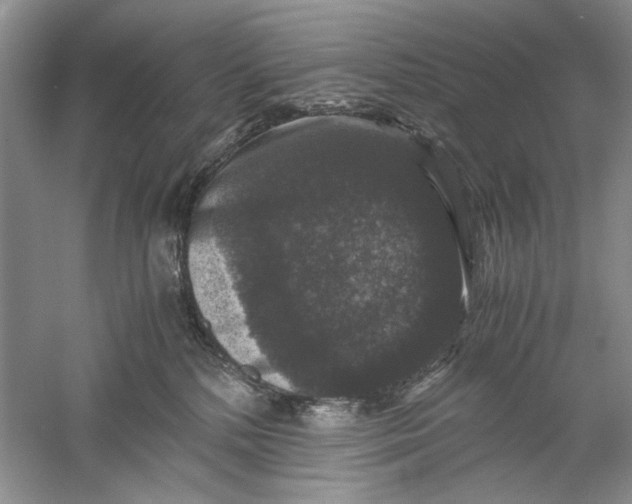 X0000061140232200512022256