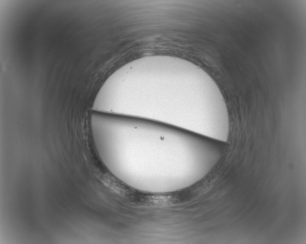 X0000061140233200512022256