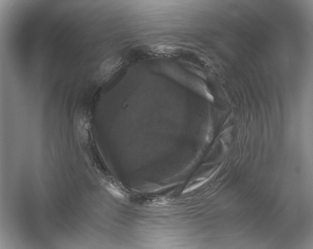 X0000061140235200512022256