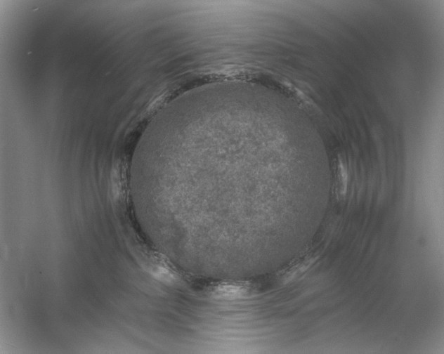 X0000061140236200512022256