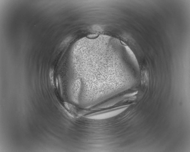 X0000061140238200512022256