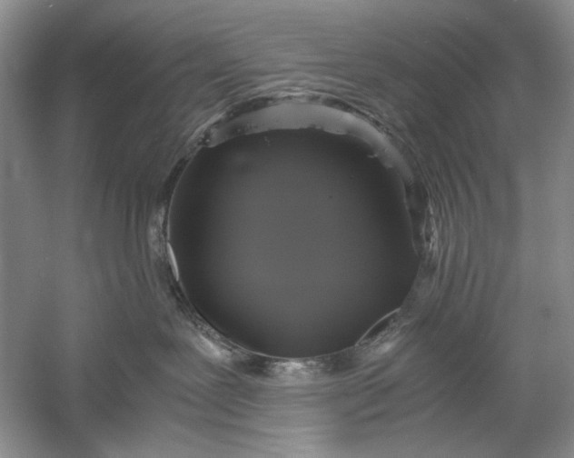 X0000061140239200512022256