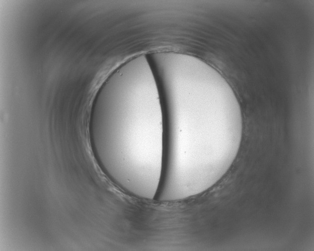 X0000061140241200512022255