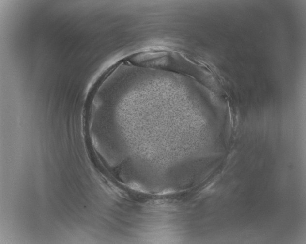 X0000061140244200512022255