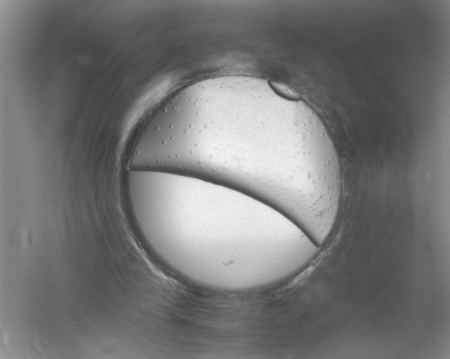 X0000061140245200512022255