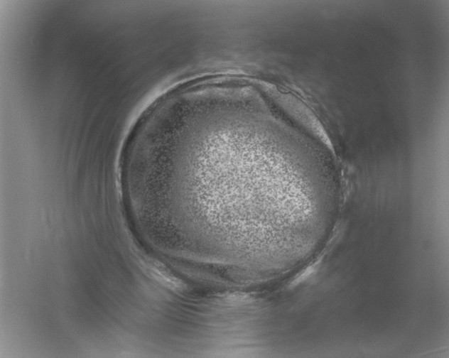 X0000061140246200512022255