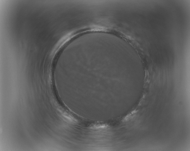 X0000061140247200512022255