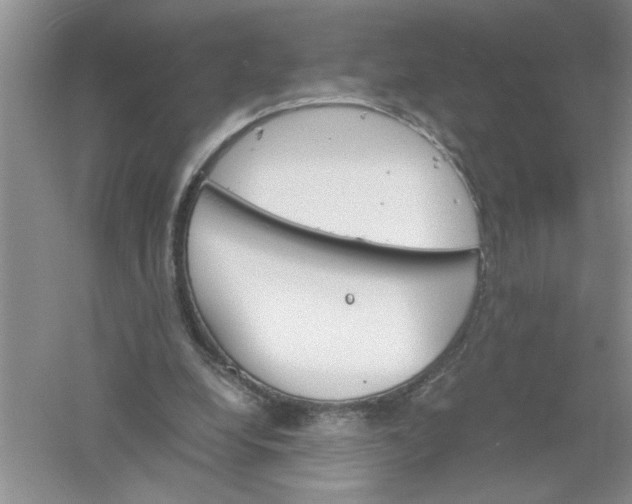 X0000061140248200512022255