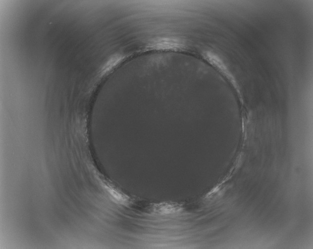 X0000061140249200512022255