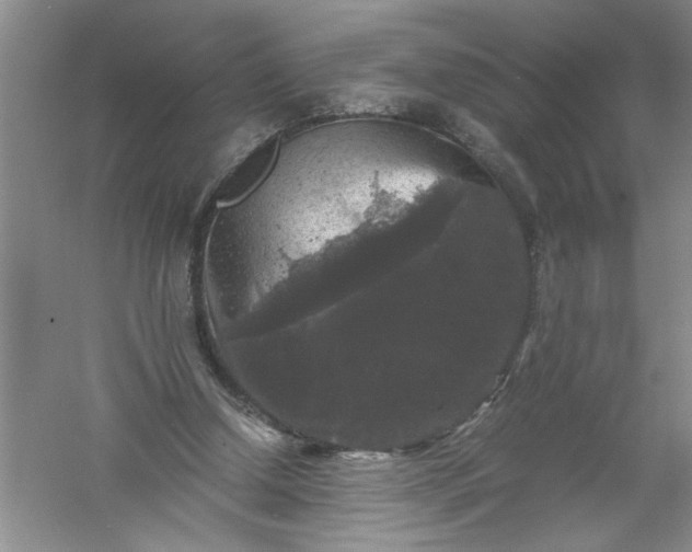 X0000061140250200512022255