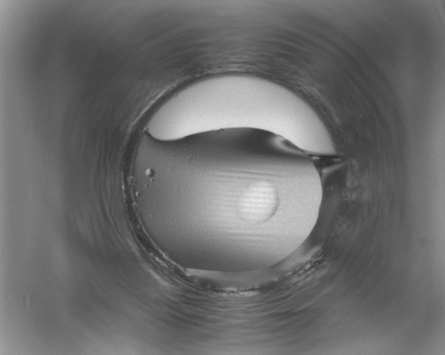 X0000061140251200512022255