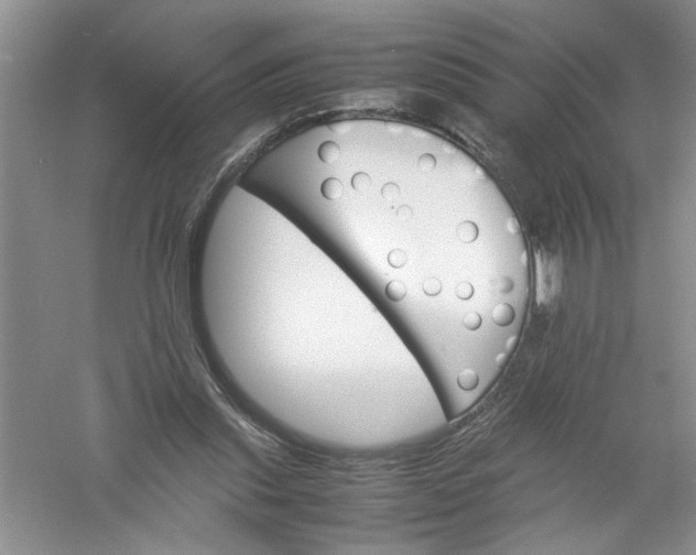 X0000061140253200512022255