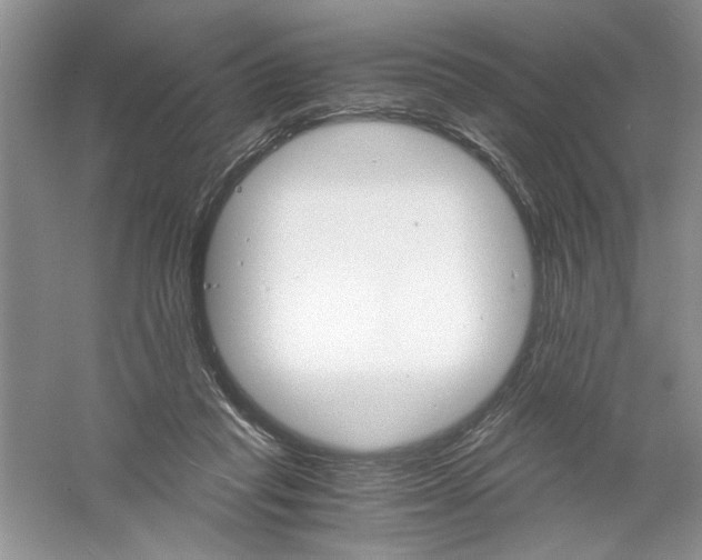 X0000061140261200512022255