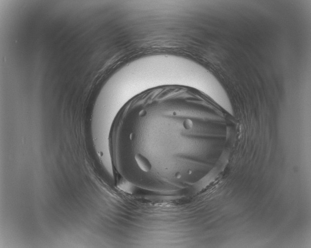 X0000061140262200512022255