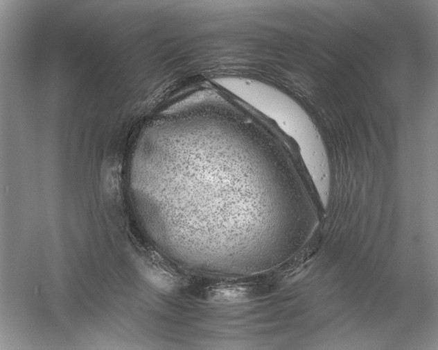 X0000061140263200512022255