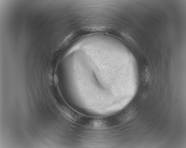 X0000061140264200512022255