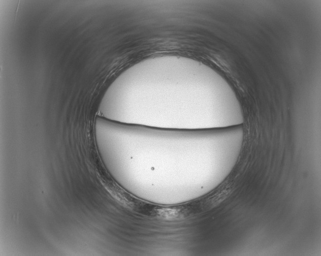 X0000061140265200512022255