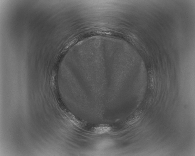 X0000061140266200512022255