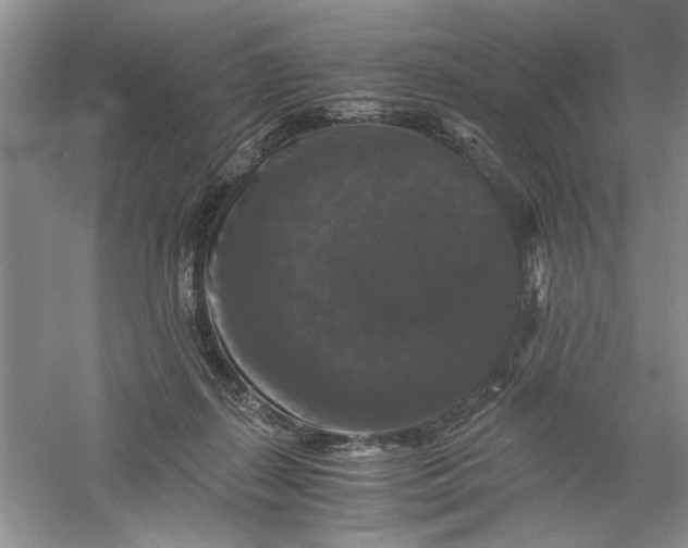 X0000061140267200512022255