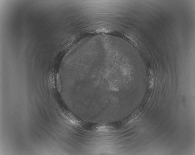 X0000061140268200512022255