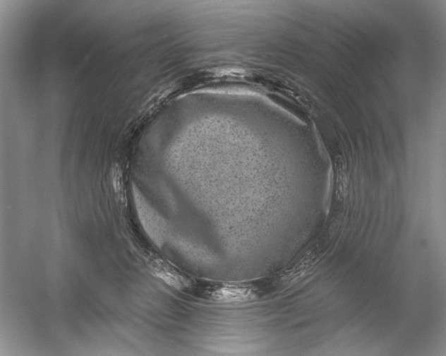 X0000061140270200512022255