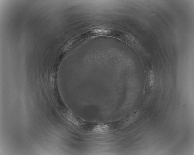 X0000061140271200512022255