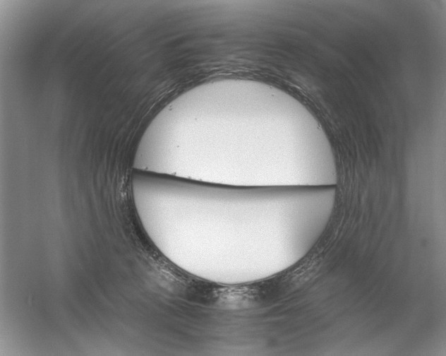 X0000061140273200512022255