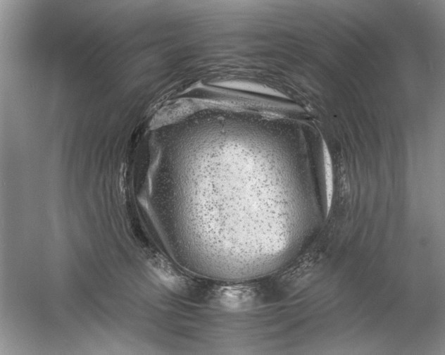 X0000061140275200512022255