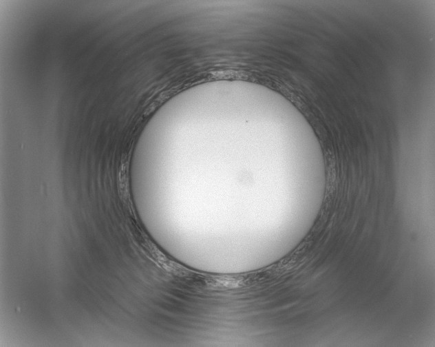 X0000061140276200512022255