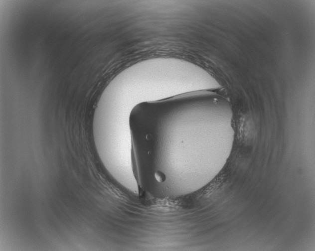 X0000061140278200512022255