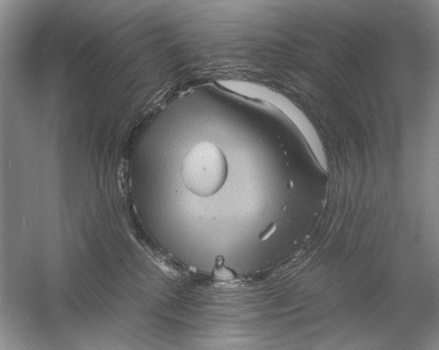 X0000061140280200512022255