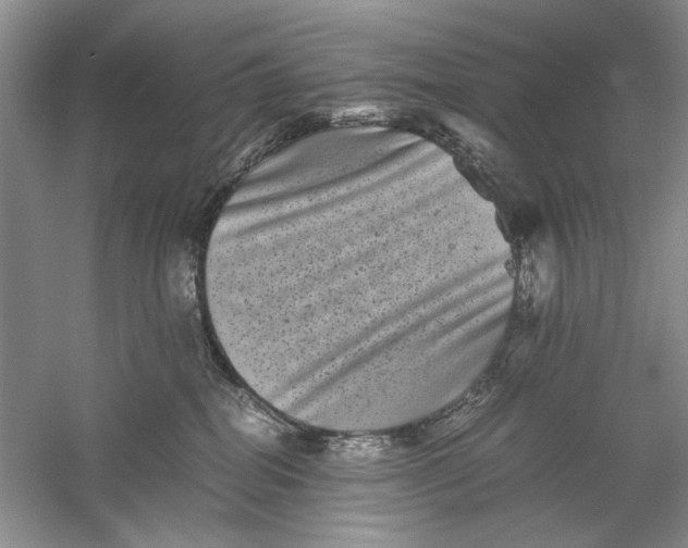 X0000061140282200512022255