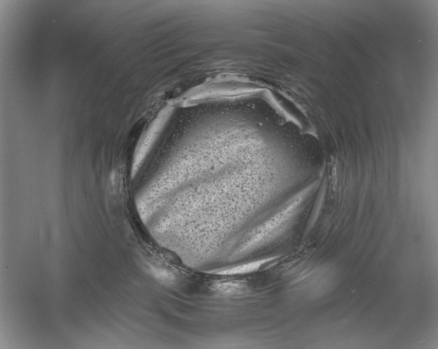 X0000061140283200512022256