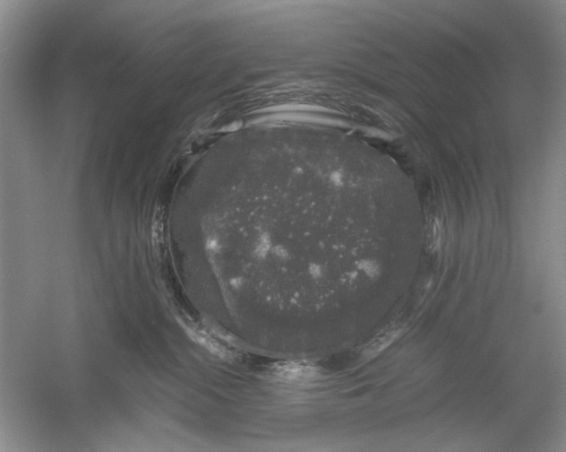 X0000061140284200512022256