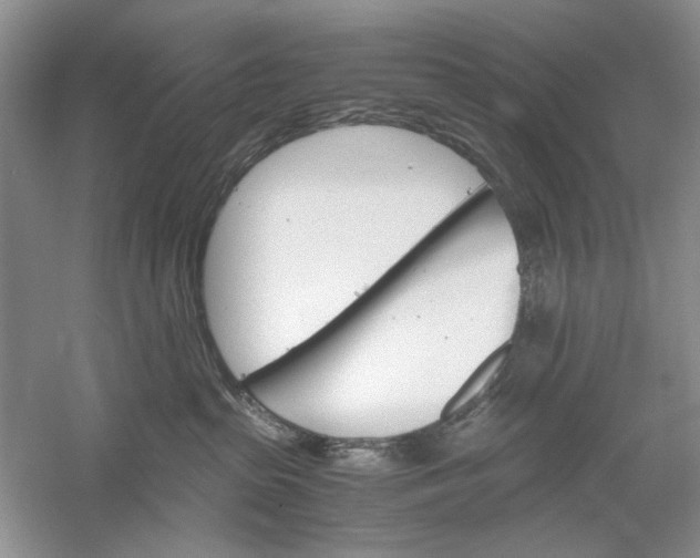 X0000061140285200512022256