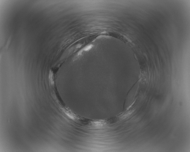 X0000061140286200512022256