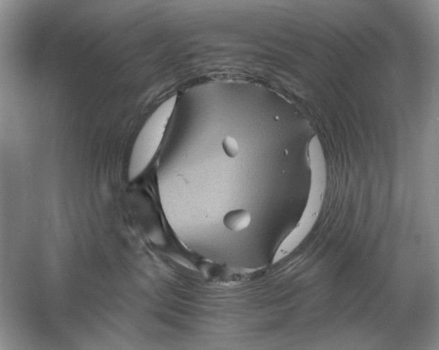 X0000061140287200512022256