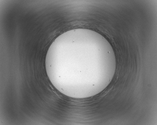 X0000061140288200512022256