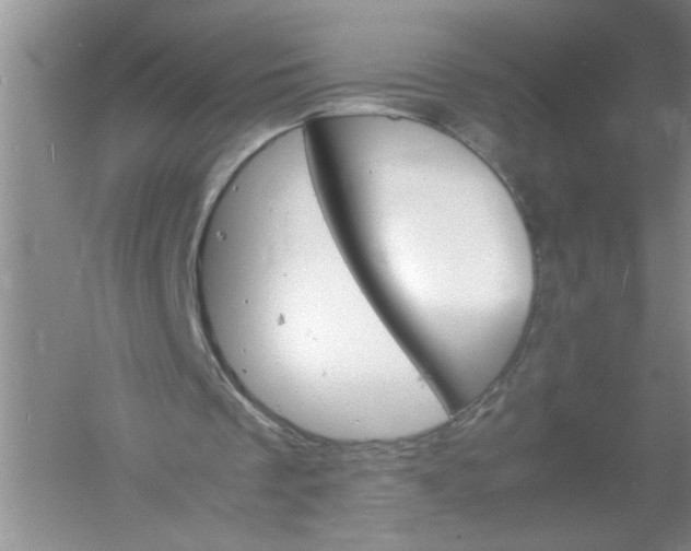 X0000061140289200512022255