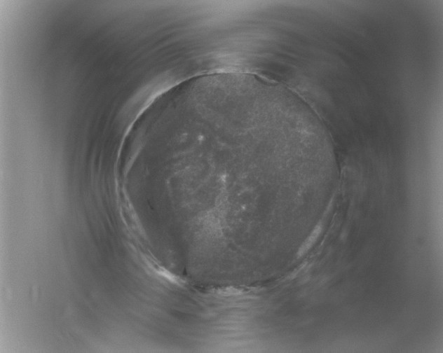 X0000061140290200512022255