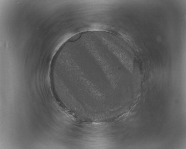 X0000061140292200512022255