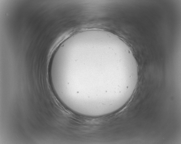 X0000061140293200512022255