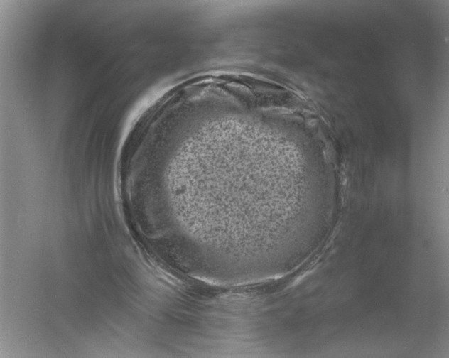 X0000061140294200512022255