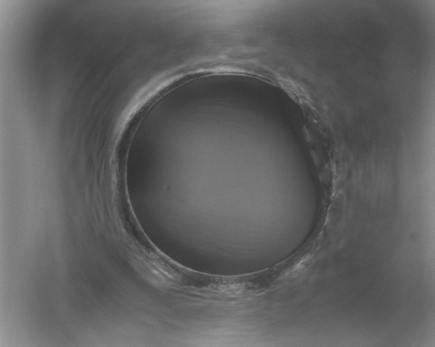 X0000061140295200512022255