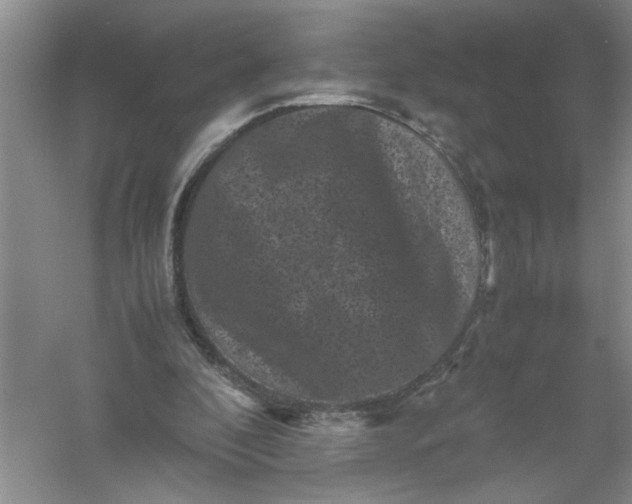 X0000061140296200512022255