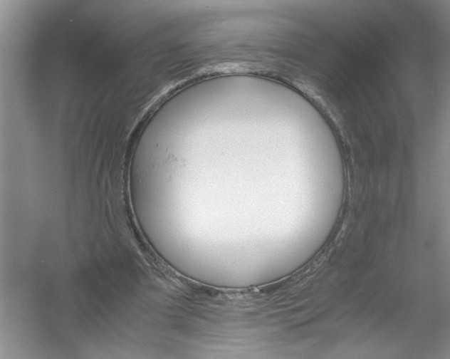 X0000061140297200512022255